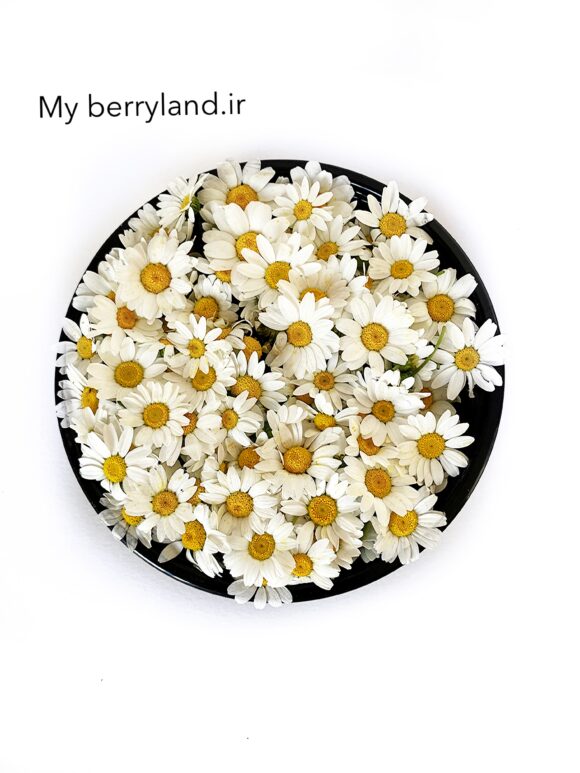 گل خوراکی بابونه