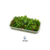 سبزیجات میکس سالادی(سبزیجات مدیترانه ای)