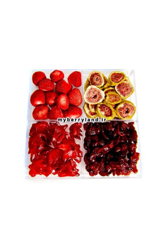 بسته میوه خشک خاص چهارخانه ای